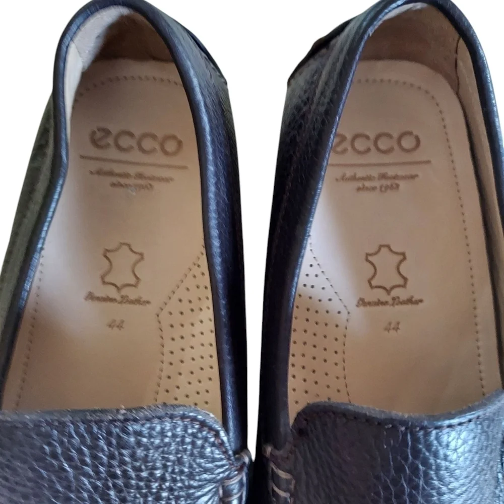 Ecco step out